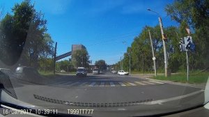 дятел на встречке