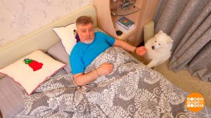 Бодримся! Доброе утро. Фрагмент выпуска от 04.12.2025