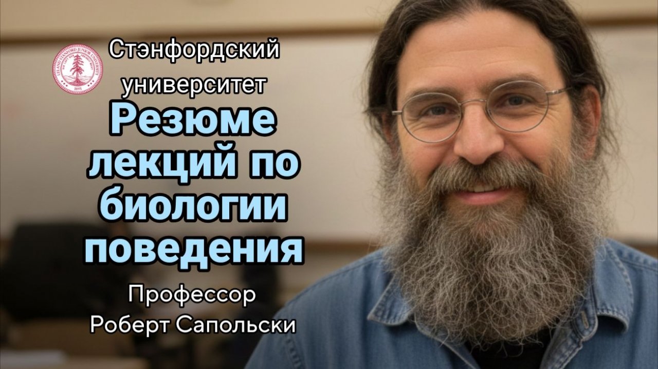 19- Истоки агрессии