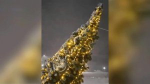 На Камчатке из-за циклона чуть не упала новогодняя елка: видео