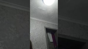 аьстаодапт