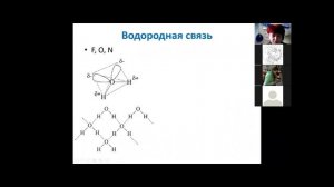 3 Водородная связь