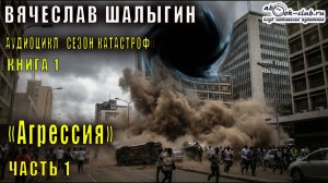 Вячеслав Шалыгин "Приключения Андрея Лунева" (книга 1) "Агрессия" (часть 1)