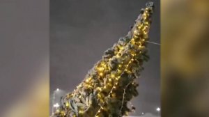 Из-за циклона в Петропавловске-Камчатском отменили занятия в школах.