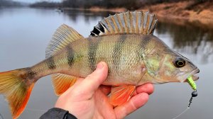 ДИКАЯ ЗАВОДЬ РАЗДАЕТ КРУПНЫХ ОКУНИЩ и ЗЛЫХ ЩУК!!! Осенняя рыбалка 2025.