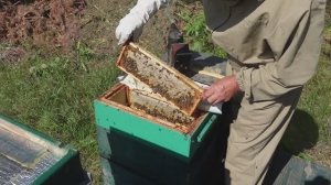 Кочевка завершена результат есть!