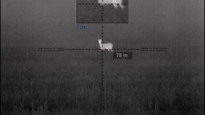 Сверхтяжелый дозвук. 458 Lott и косуля.