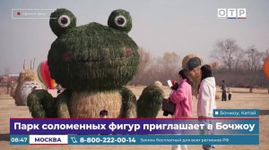 Парк соломенных фигур приглашает в Бочжоу