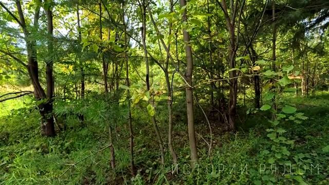 (Не)Чужая семья. смотреть онлайн