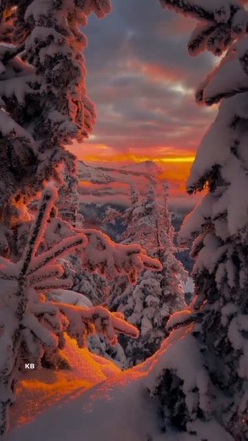 #katyboro #видео #видеооткрытка  #красивоевидео #shortvideo #shorts #short #video #топ #рек #2025