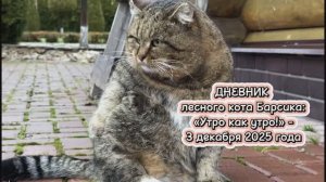 ДНЕВНИК лесного кота Барсика: «Утро как утро!»  - 3 декабря 2025 года