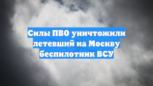Силы ПВО уничтожили летевший на Москву беспилотник ВСУ