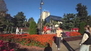 Сочи. Ул. Навагинская. Морпорт. Приморский парк. Набережная. День народного единства.