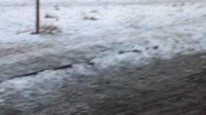 Опять весна?)