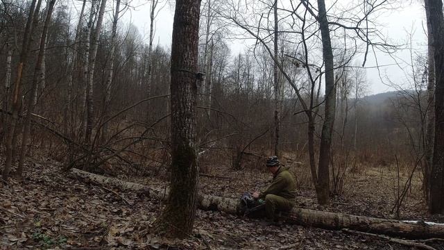 Вторжение. Чужие на солонце.