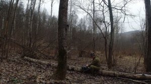 Вторжение. Чужие на солонце.