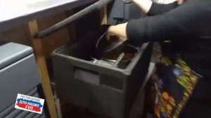 К вечеру прилетел🙏 привет от Ресторанчика 1️⃣ Ребята кушают, пчёлки трудятся 🔥