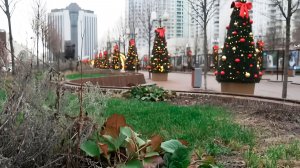 Плюсовые температуры вместо привычных морозов и ощущение затянувшейся осени в Москве