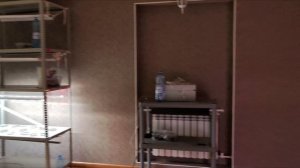 Черенкование Алисума и Петунии! Обзор рассады цветов на  4.12.2025г.