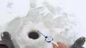 Щука на Жерлицы! Зимняя рыбалка с ночёвкой 30.11.2025г #щука#на#жерлицы#