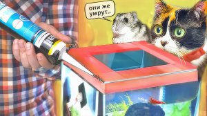 ГЕРМЕТИЧНО ЗАКРЫЛИ АКВАРИУМ, ЧТО БУДЕТ ДАЛЬШЕ?