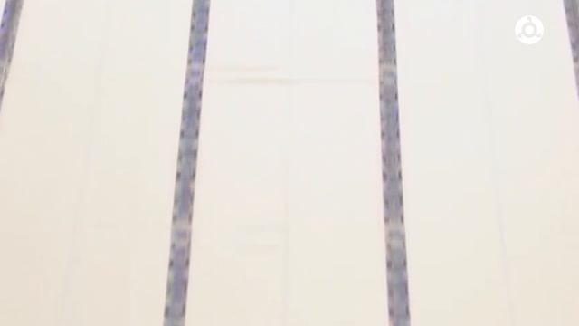 История вещей. Деньги