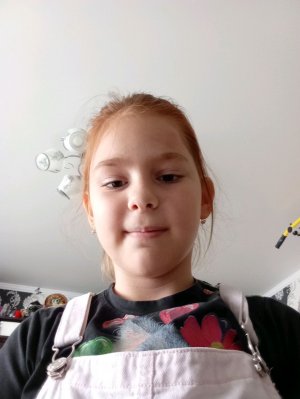 тренажёры. тренажёр по математике, русскому и внимательности и даже английскому. и умножение.