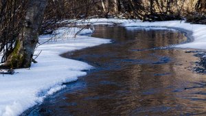 Лесная прогулка на ручей Медвежий. Поздняя осень