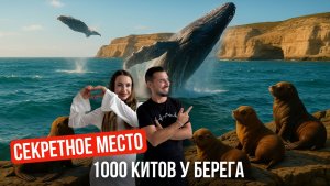 Невероятное сафари на китов: как мы сняли их с земли без лодок