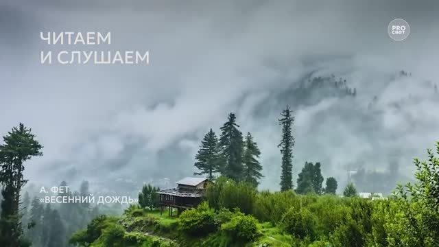 Возьмите на урок: А. Фет «Весенний дождь»