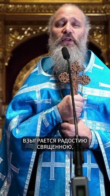 ОТ ЭТИХ СЛОВ СЕРДЦЕ ХРИСТИАН РАДУЕТСЯ | ИЕРОМОНАХ ДАВИД | ВАЛААМСКИЙ МОНАСТЫРЬ  #валаам  #проповедь