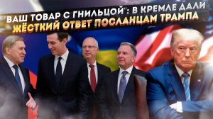 План Трампа разбился о русское "нет". Киев принял закон, который хоронит все надежды на мир