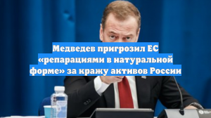 Медведев пригрозил ЕС «репарациями в натуральной форме» за кражу активов России