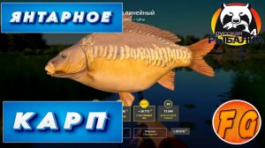 Янтарное  Фарм и высид. Карп сам лезет в садок. Russian Fishing 4. рр4. Русская рыбалка 4