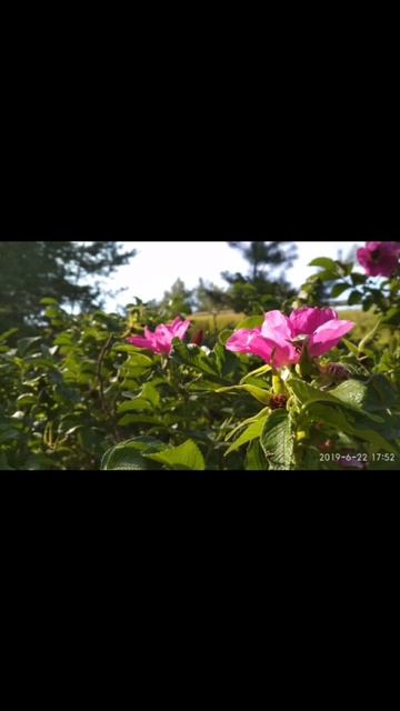 Архив 2019 г. 9