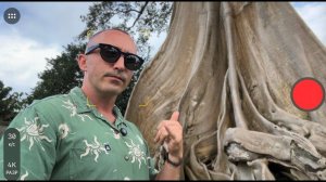 ⚪ Макро и крипта: ФРС, ETF, золото - что сейчас решает судьбу рынка