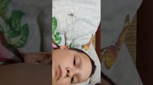 я играю в фифу