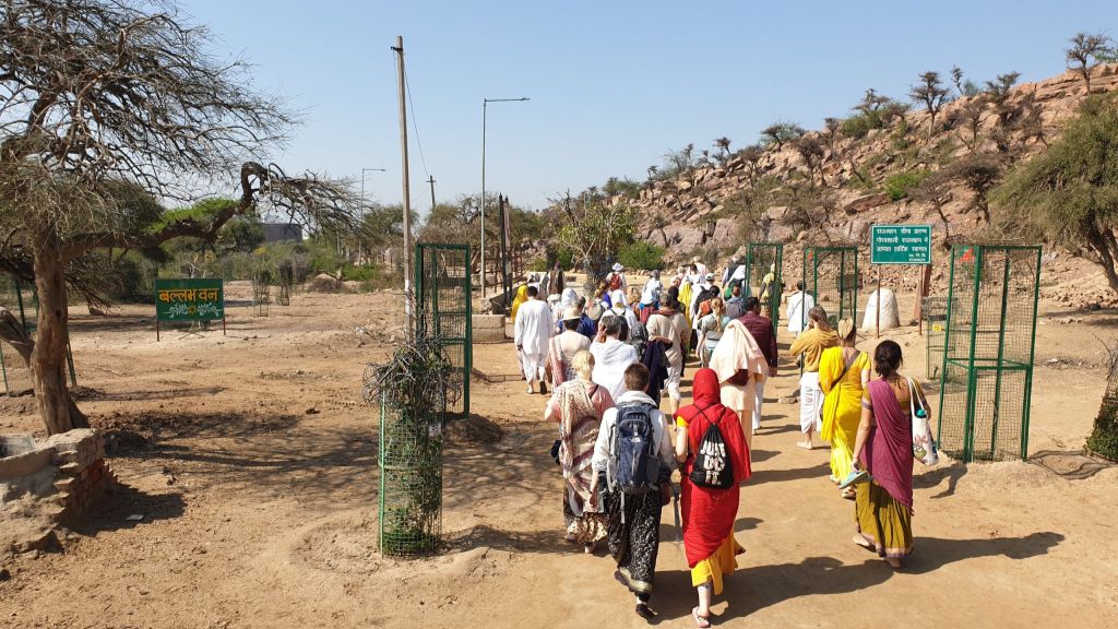 04.11.2025 - Катха на Говардхане - Е.М. Вальмики прабху (Вриндаван, Говардхан)
