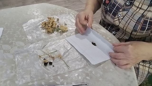 Бывает и такое.