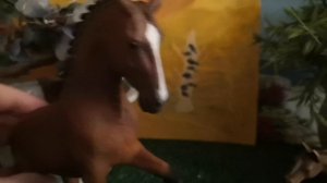 Новые лошади? Новый ведущий канала? Как назвать двух коней???