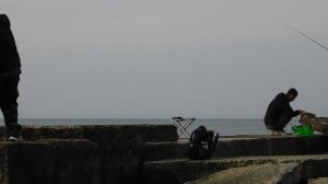 DSCN0256. Ольгинка Ноябрь 2025