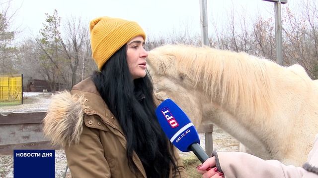 ОРЕНБУРЖЦЫ ГОТОВЯТСЯ К ГОДУ ЛОШАДИ