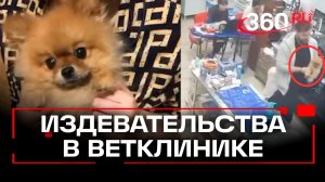 Ветеринары смеялись над умирающей собакой