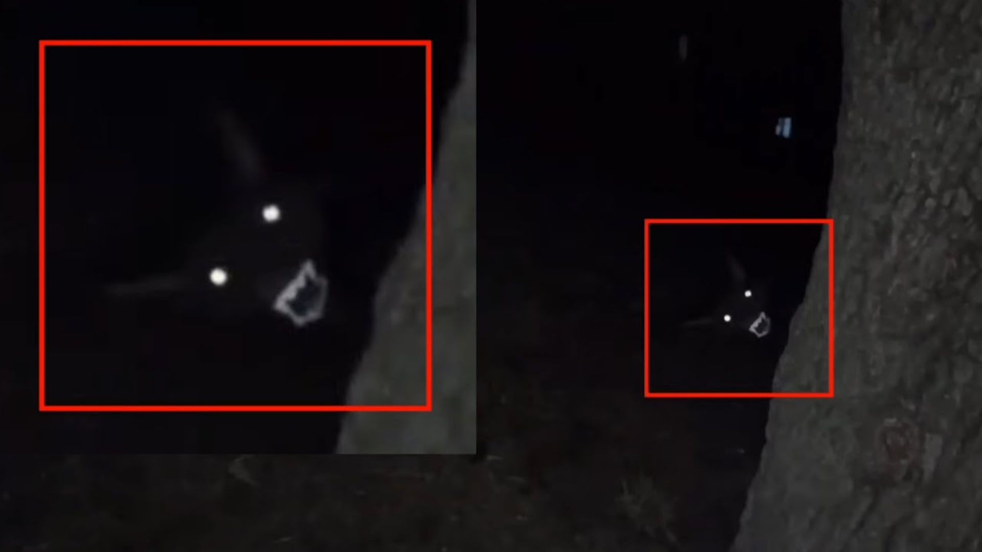 Страшное существо рогатое напугал охотника и попало в кадр там смотреть онлайн