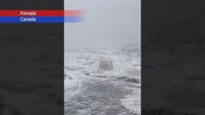 Новости Сегодня 04122025 - Катаклизмы сегодня