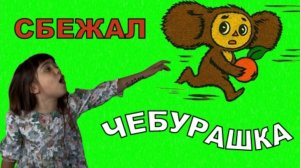 ЧЕБУРАШКА СБЕЖАЛ! #чебурашкасбежал #нинелькамама