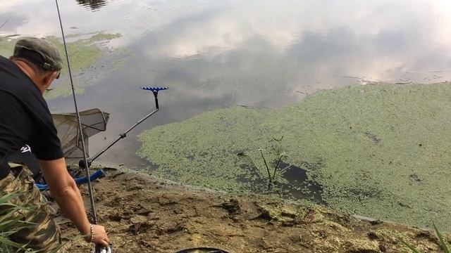 Рыбалка с фидером в августе.