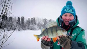 Вот это рыбалка!🔥🔥🔥Зимняя ловля мощного окуня на балансиры!Таёжное озеро ХМАО.Рыбалка со льда❄️