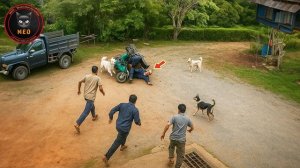 Смешные моменты снятые на камеру