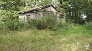 Любовь прошла завяли помидоры